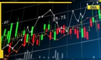 辽宁成大：2025年一季度净利润3